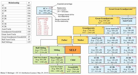 10 Generation Family Tree Template Excel