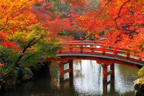 Pin by Maria Burrows on Autumn | Scenery, Japan travel, Fall travel