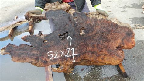 Redwood Burl Slabs 4 – Redwood Burl Inc.