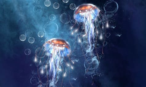 Jellyfish Wallpapers Wallpaper | Jellyfish painting, Jellyfish art ...