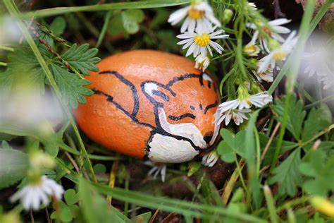 Painting Rocks In Flower Beds – How To Make Painted Garden Stones