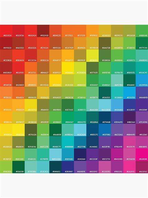 "Rainbow Hex Colors" Poster for Sale by jojo983 | Hex colors, Hex color ...