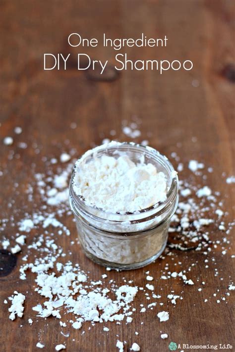 One Ingredient DIY Dry Shampoo - A Blossoming Life