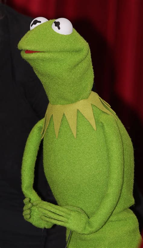 Kermit | The Muppets’ Australian Premiere To Be Hosted By Ja… | Flickr