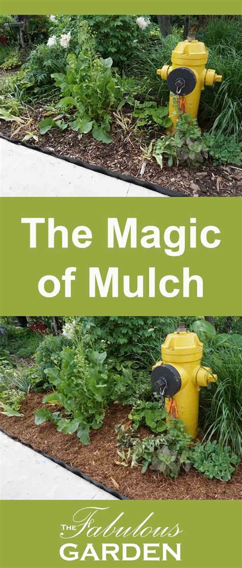 The Magic of Mulch - The Fabulous Garden