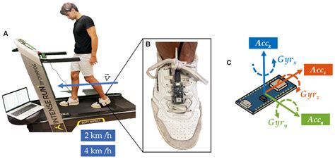 Bioengineering | Free Full-Text | Kinematic Analysis of Human Gait in ...