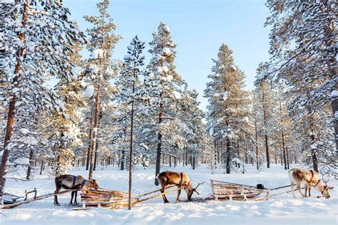 Why Freezing Lapland Is a Tourism Hot Spot