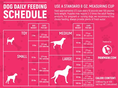 Dog Feeding Chart Printable