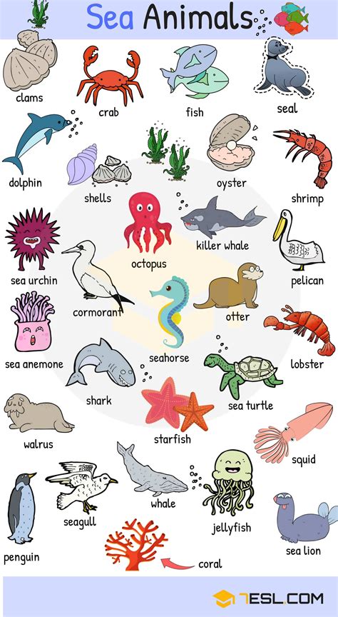 All Animals In The World Alphabetical Order