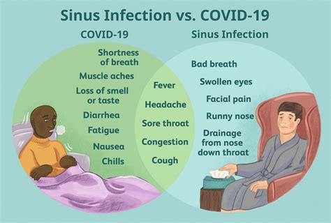 What Are The Symptoms Of A Bacterial Sinus Infection: Unveiling The ...