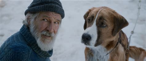 “Call of the Wild’: How CG Dog Buck Held His Own with Harrison Ford ...