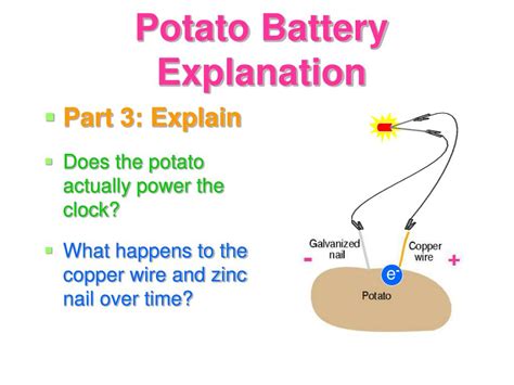 PPT - Potato Battery Activity PowerPoint Presentation, free download ...