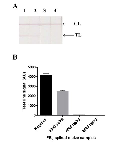 Limit of detection of fumonisin B 2 (FB 2 ) in maize by the developed ...