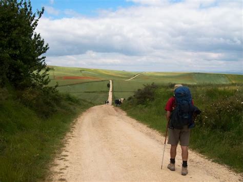 Hiking the Camino Santiago... on the bucket list. | Spain pilgrimage ...