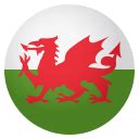 🏴󠁧󠁢󠁷󠁬󠁳󠁿 Flag: Wales Emoji Meaning with Pictures: from A to Z