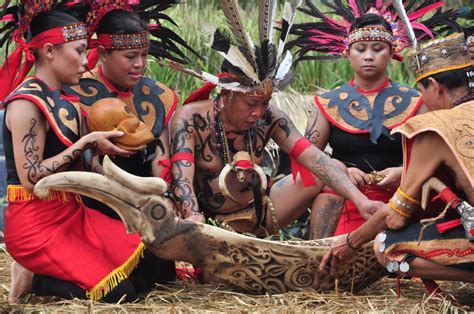 Suku Dayak: Suku dengan Beragam Tradisi - Gaekon