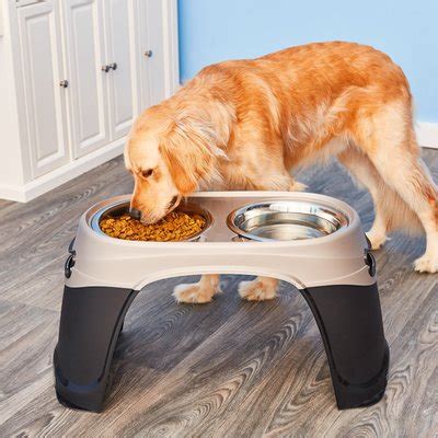 Petmate Easy Reach Diner Elevated Dog Bowls, Black Pearl/Tan, X-Large ...