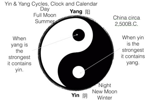 The Yin and Yang - Symbol of Life - campestre.al.gov.br