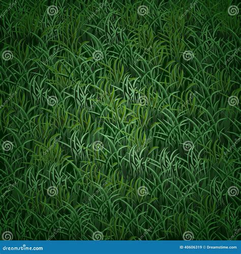 Vector grass texture stock illustration. Illustration of outdoor - 40606319