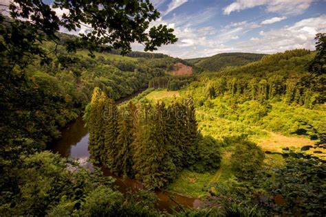 Ardennes Forest stock image. Image of trees, mountains - 77518639