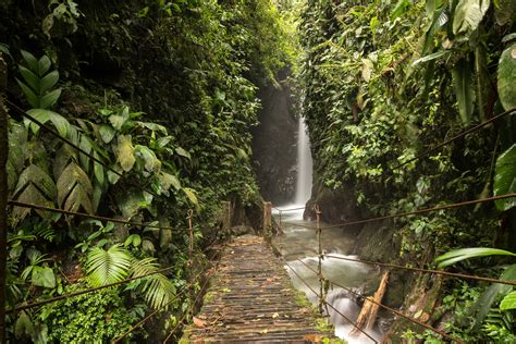 How to visit Mindo Ecuador and things to do in Mindo Cloud Forest