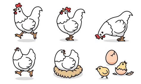 Cartoon drawing of white chicken family, vector 5017974 Vector Art at ...