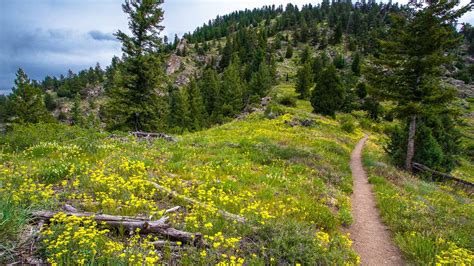 11 of Boulder’s Greatest Hiking Trails | Best day hikes in Boulder, CO