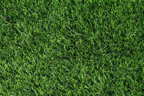 Artificial green grass texture | High-Quality Nature Stock Photos ...