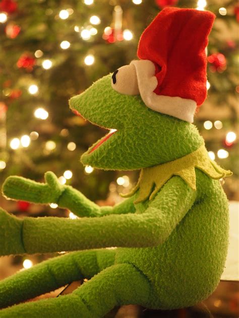 Christmas Frog, Kermit, Frog, Christmas, christmas, christmas tree free ...