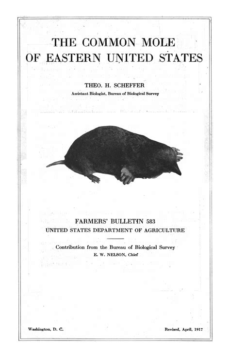 The Common Mole of the Eastern United States - UNT Digital Library