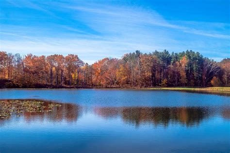 Fall Colors By The Lake | Shutterbug