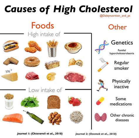 High Cholesterol Foods - Daley Nutrition - Community Team