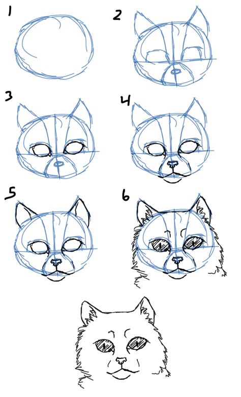 Savanna Williams: How to Draw Cats- Faces / Heads