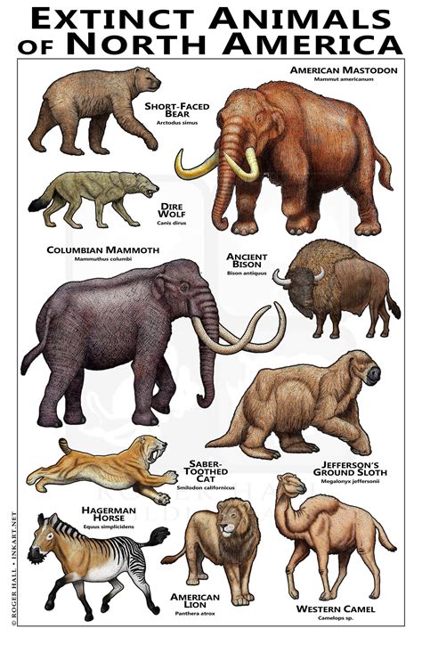 Extinct Animals of North America Poster - Etsy Finland