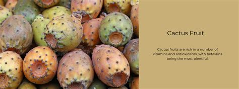 Cactus Fruit - Health Benefits, Uses and Important Facts - PotsandPans ...