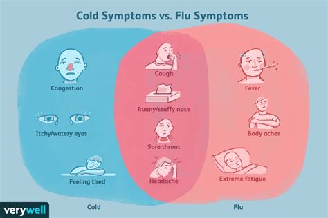 Cold Symptoms