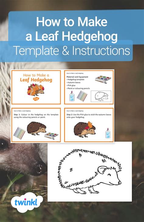 How to Make a Leaf Hedgehog Template & Instructions | Hedgehog template ...