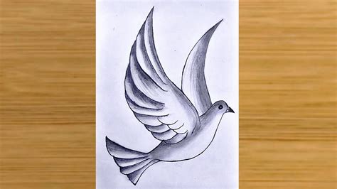 Flying Bird Pencil Drawing