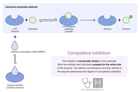 Medications Inhibitors CYP3A4 Enzyme - My Endo Consult