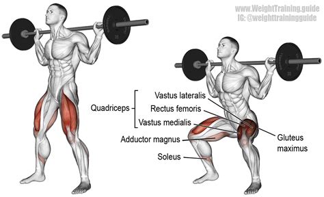 do the squats #squats | Barbell squat, Squat workout, Fitness training