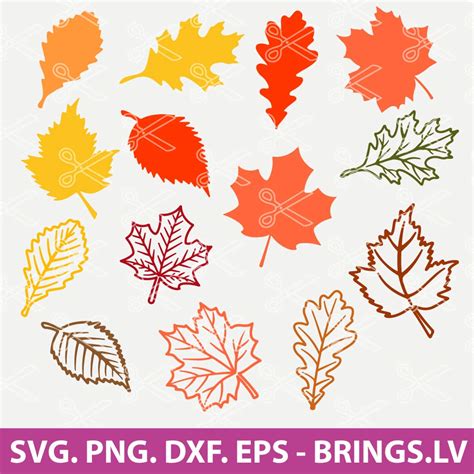 Fall Leaf SVG, Fall Leaf SVG Bundle, Fall Leaves SVG, Fall SVG, Fall ...