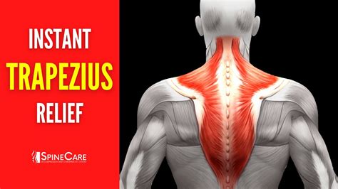 How to Fix Upper Trapezius Pain FOR GOOD - YouTube