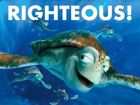 Righteous | World turtle day, Finding nemo movie, Disney pixar movies