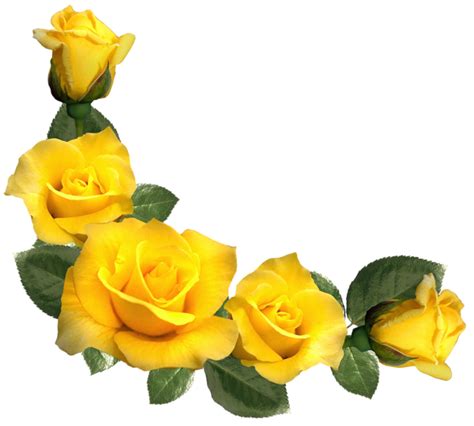 three yellow roses with green leaves are arranged in the shape of a ...