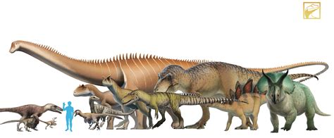 If you ever wonder who'd win between a T-rex vs Allosaurus/Carnotaurs ...