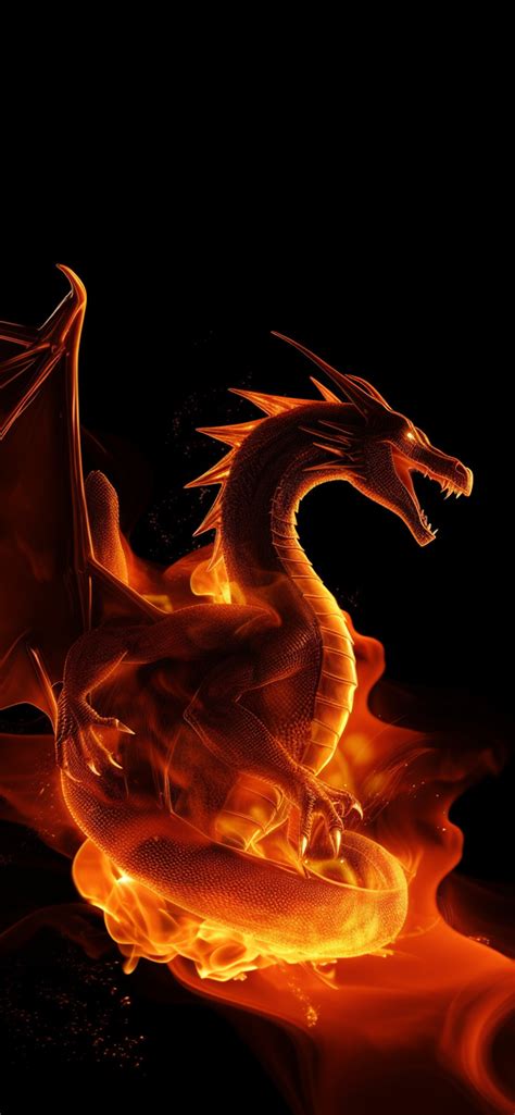 Black Fire Dragon Wallpaper