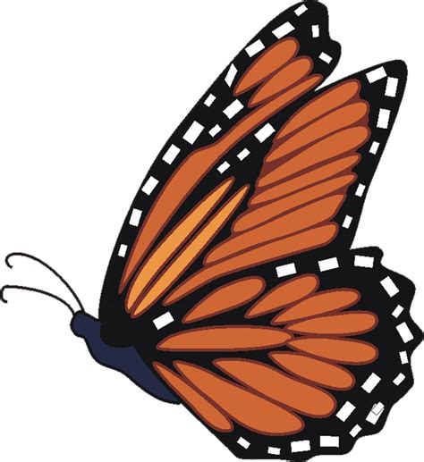 Milkweed butterfly clipart 20 free Cliparts | Download images on ...