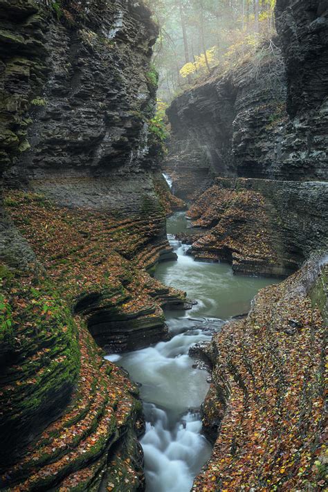 Autumn Day in Watkins Glen Photograph by Kristen Wilkinson - Fine Art ...