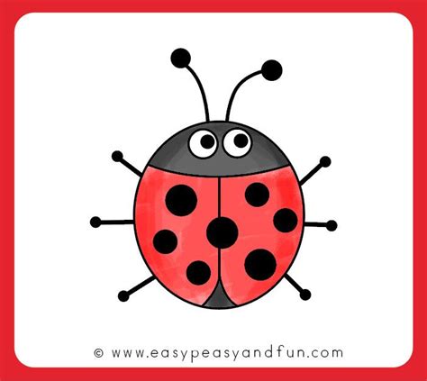 How To Draw A Ladybug Step By Step