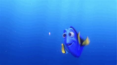 Finding Nemo GIFs - Find & Share on GIPHY